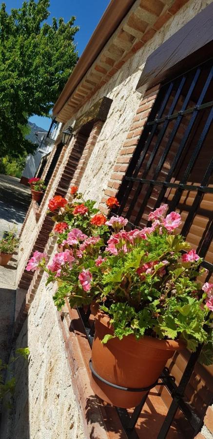 Alojamiento Rural Casa Inocente La Toba  Dış mekan fotoğraf