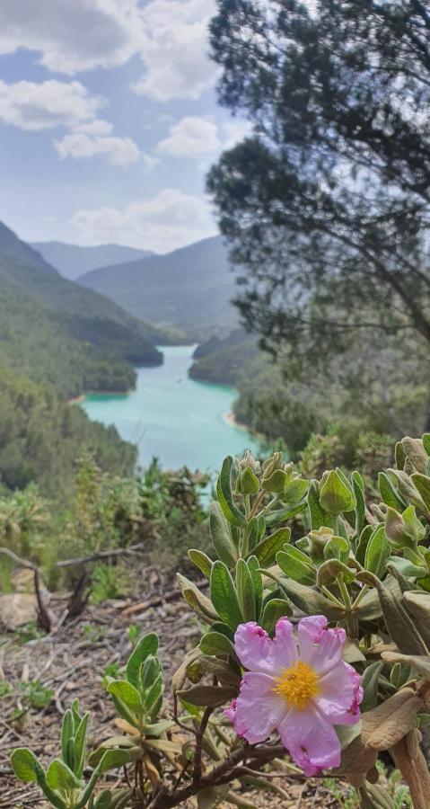 Alojamiento Rural Casa Inocente La Toba  Dış mekan fotoğraf