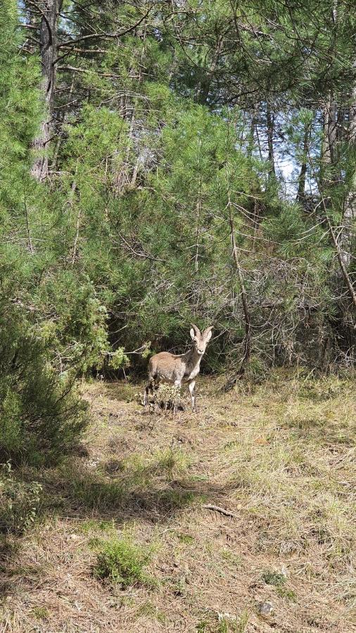 Alojamiento Rural Casa Inocente La Toba  Dış mekan fotoğraf