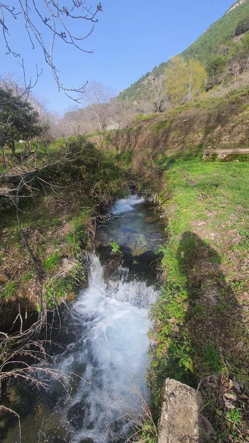 Alojamiento Rural Casa Inocente La Toba  Dış mekan fotoğraf
