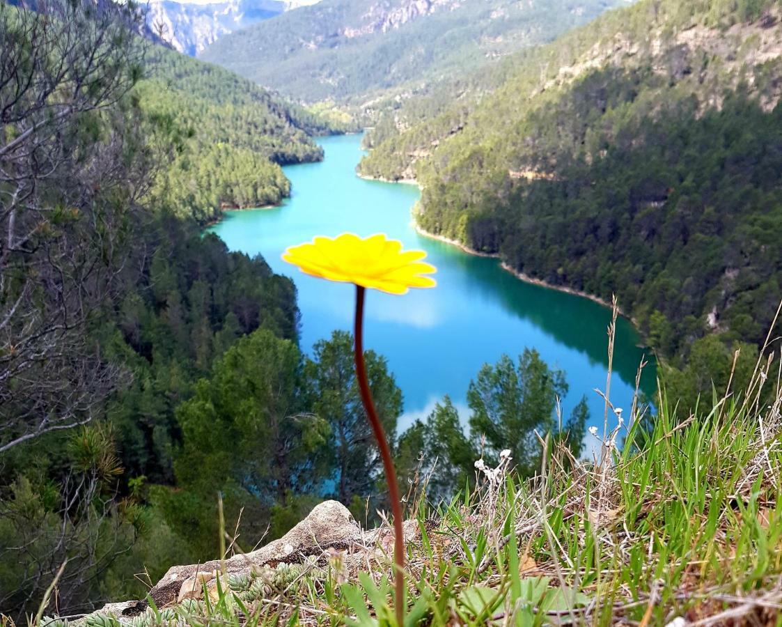 Alojamiento Rural Casa Inocente La Toba  Dış mekan fotoğraf